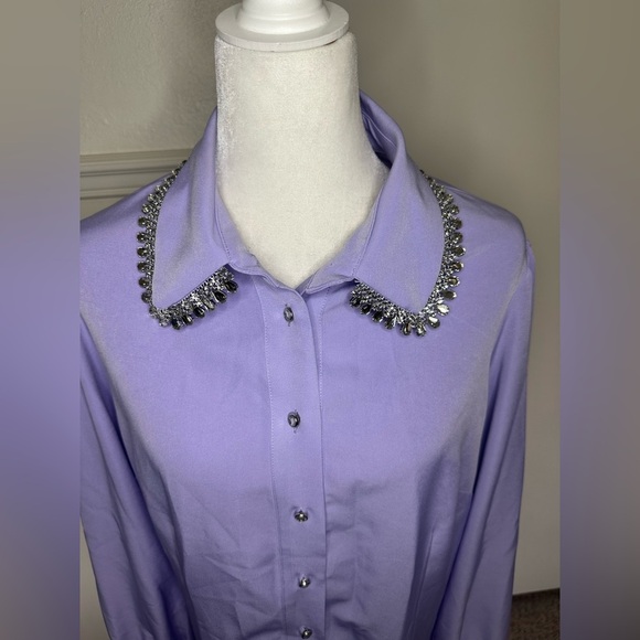 Boston Proper Crystal Embellished Collar Victoria Chic Drama Sleeve Shirt XL - Picture 4 of 13